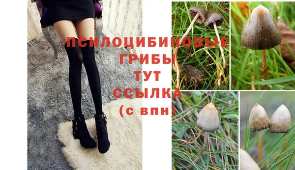 бошки Белоозёрский